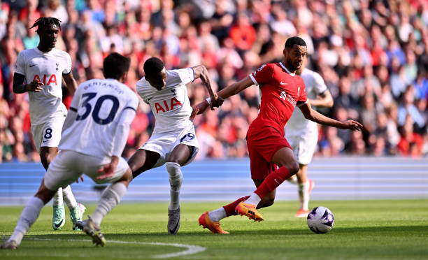 楊瀚森貢獻24分13籃板 王睿澤砍下21分 利夫收獲21分11籃板 青島四人得分20以上大勝同曦.